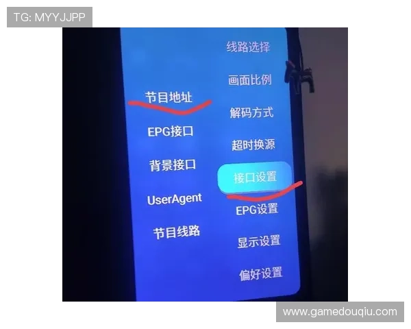 提升观赛体验必看，dqiuvip斗球直播app的特色功能与用户评价全面解析